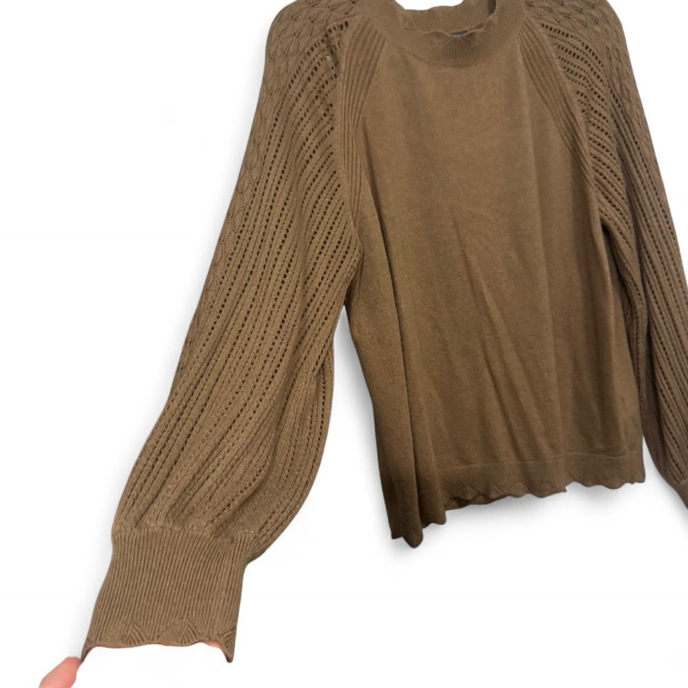 Democracy Brown Crew Neck Sweater